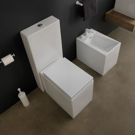 Sanitari monoblocco per bagno completo Oz