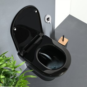 Wc Bidet Combinato a terra filomuro Zeta Multifunzione Nero Lucido